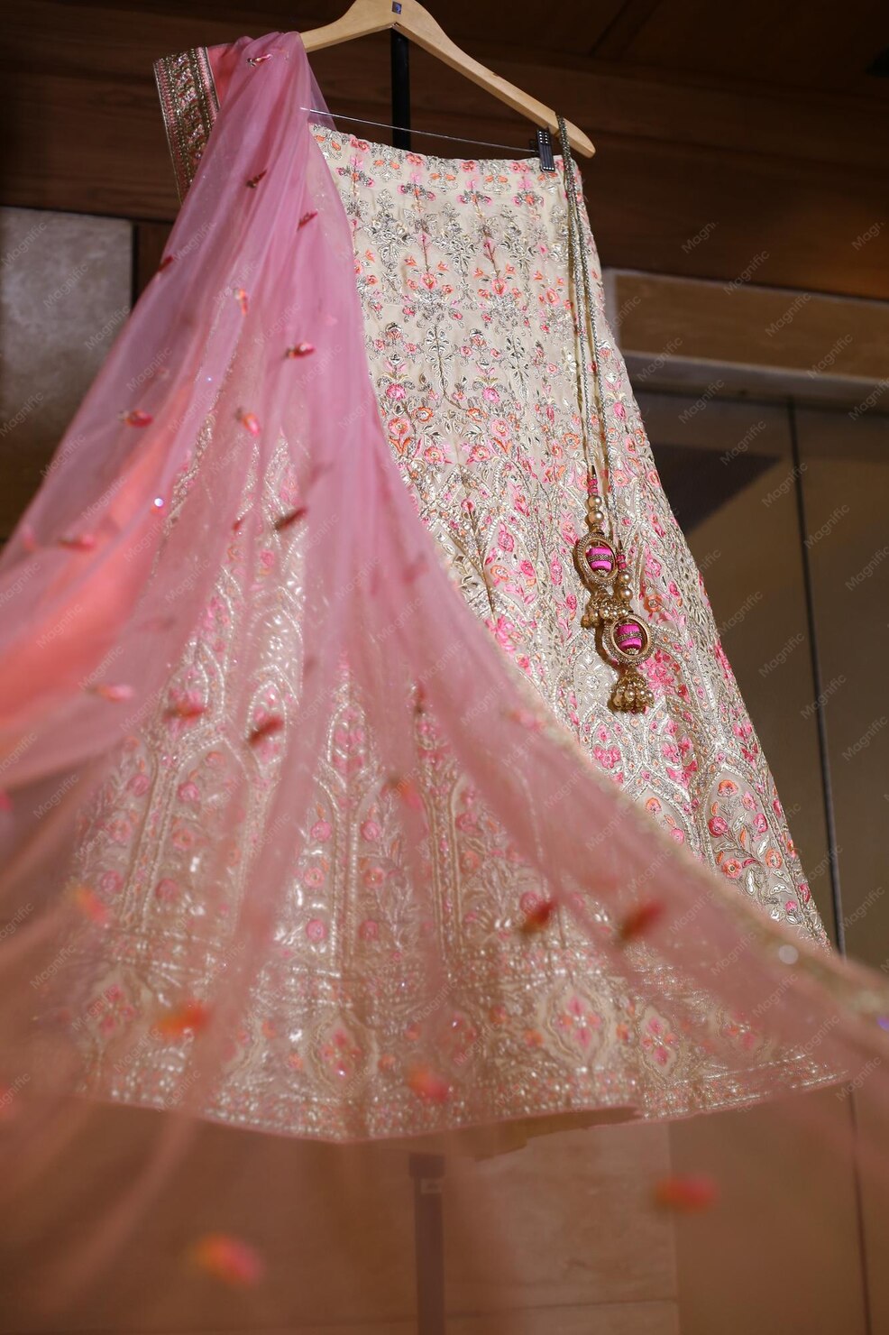 Organza Dupattas