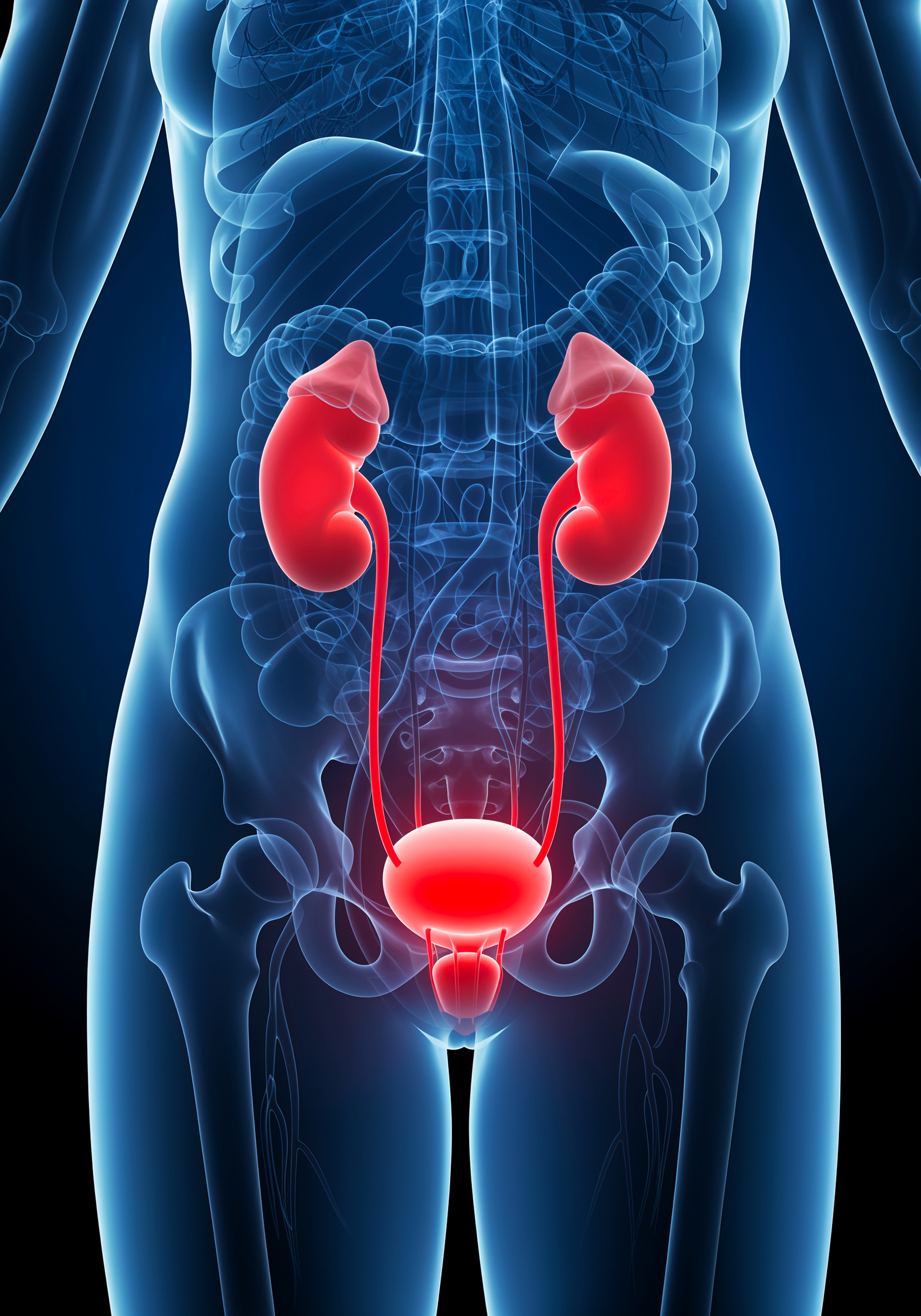 best urology hospital in warangal