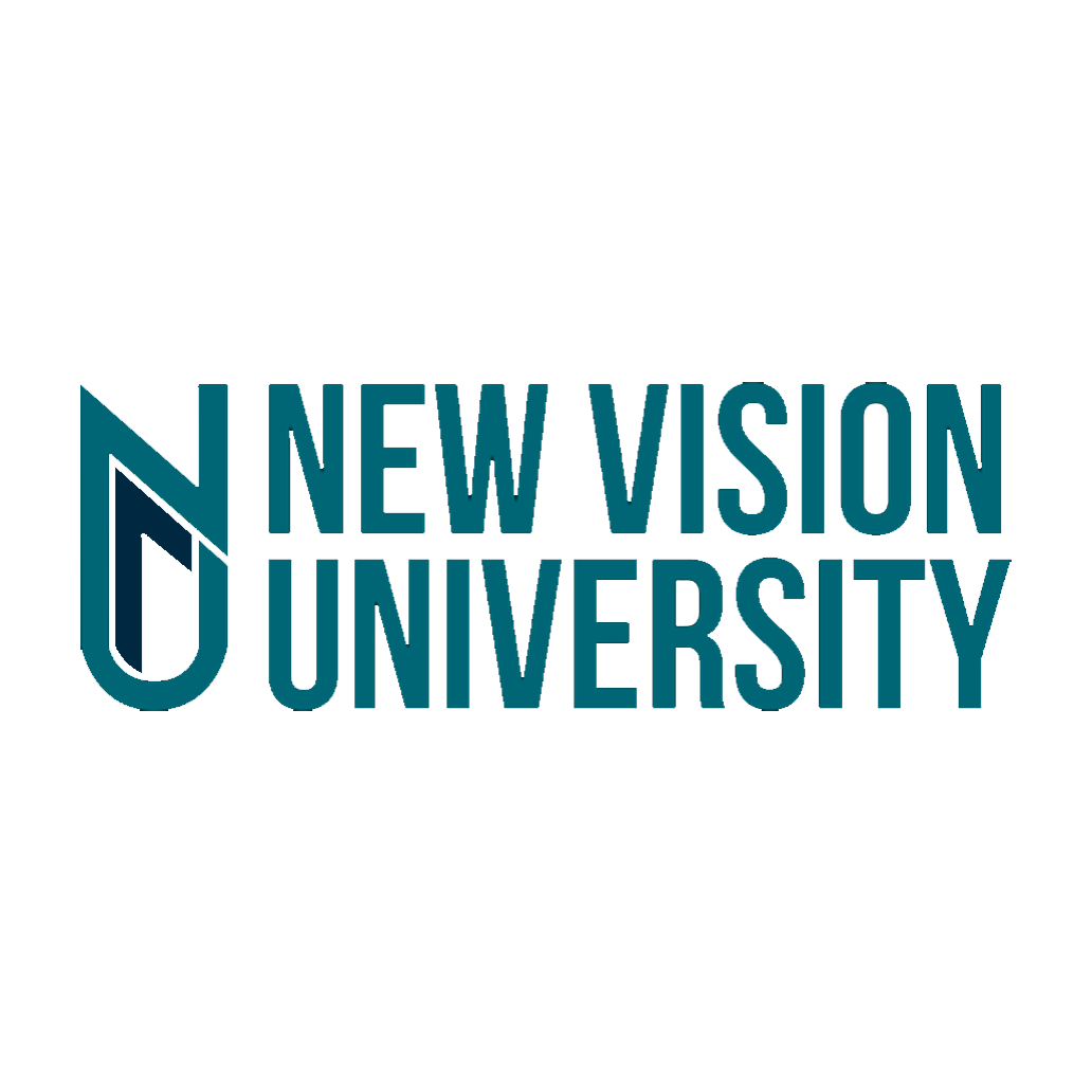 New Vision University