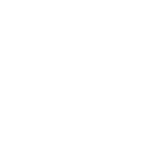 IT Consulting