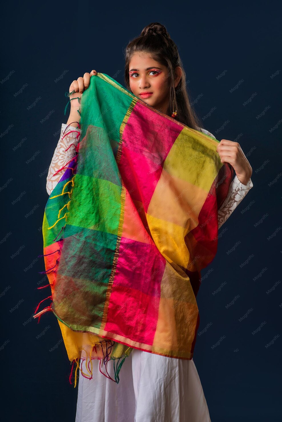 Traditional Ethnic Dupattas